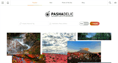 Desktop Screenshot of pashadelic.com